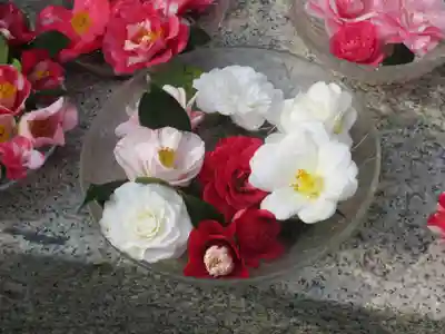 霊鑑寺門跡の手水舎