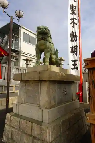 成田山大阪別院　明王院の狛犬