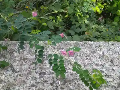 一王子神社の自然