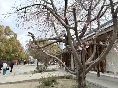 四天王寺(大阪府)