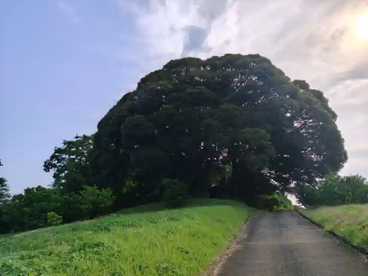 だいじんごさん(神奈川県)