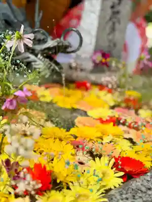 札幌諏訪神社の手水舎