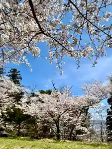 蚊里田八幡宮(長野県)(2025年04月16日(水) 14時21分48秒投稿)