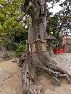 住吉大社(大阪府)