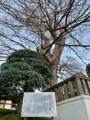 延命寺(埼玉県)