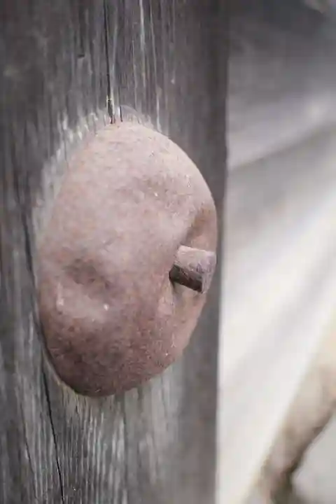 大光院 新田寺のその他建物