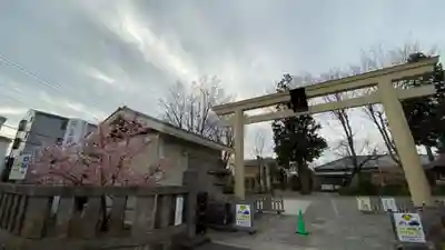 阿豆佐味天神社 立川水天宮の鳥居
