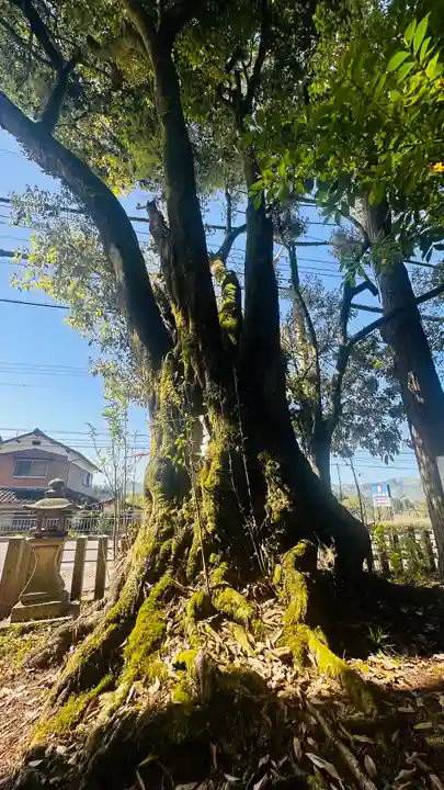 九手神社(京都府)