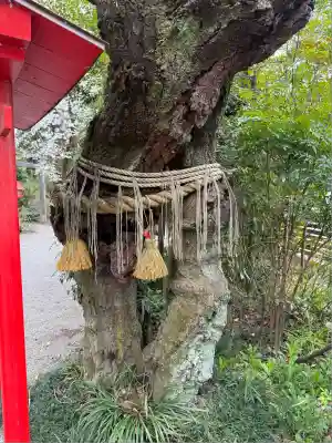 冠稲荷神社(群馬県)