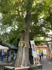 札幌諏訪神社(北海道)