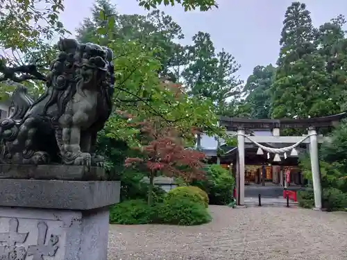 越中一宮 髙瀬神社の狛犬