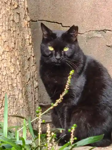 綱敷天満宮(福岡県)