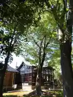 野間神社の自然