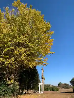 明治神宮(千葉県)