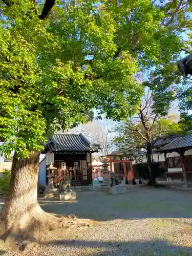 赤留比売命神社（杭全神社飛地境内社）(大阪府)