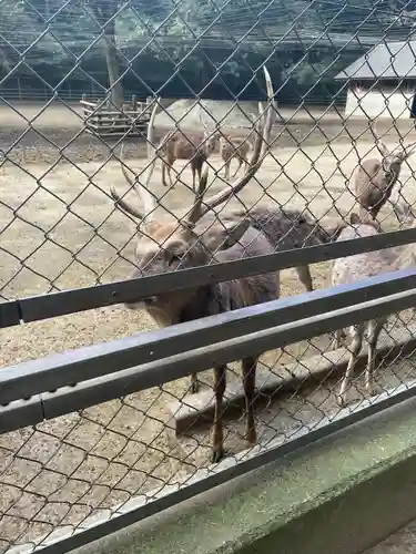 鹿島神宮(茨城県)