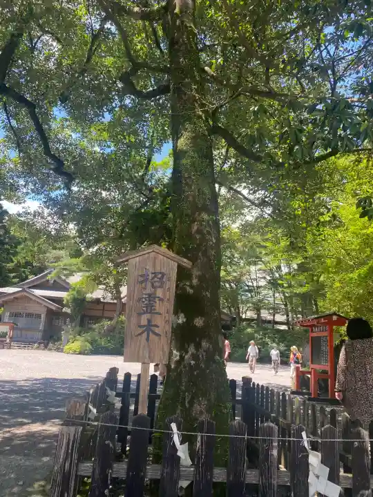 霧島神宮(鹿児島県)