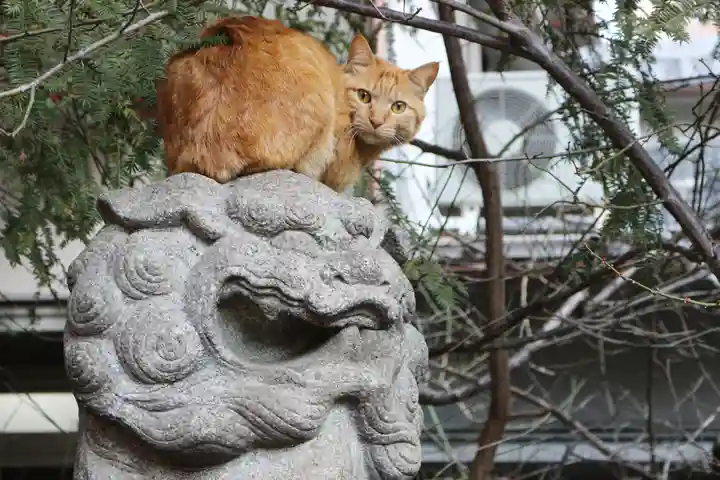 くまくま神社(導きの社 熊野町熊野神社)の動物