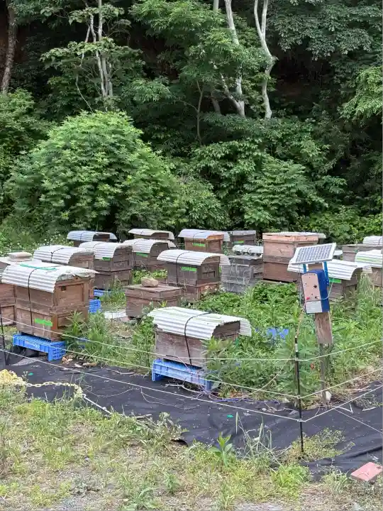 金蛇水神社(宮城県)