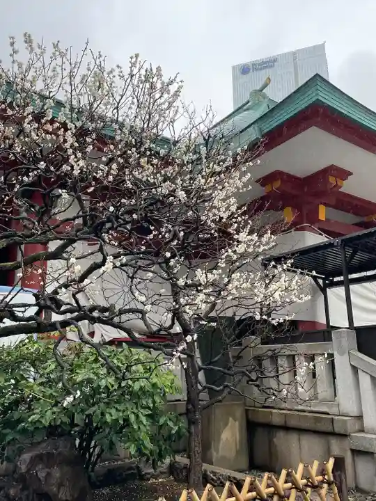 日枝神社(東京都)