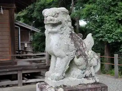 三島神社の狛犬