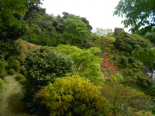 仏行寺（佛行寺）の庭園