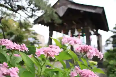 豊景神社の手水舎