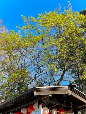 伊達神社(北海道)