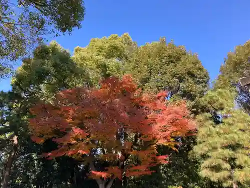 城南宮(京都府)