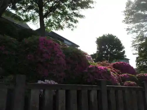 根津神社(東京都)