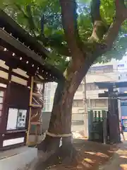 堀川戎神社(大阪府)