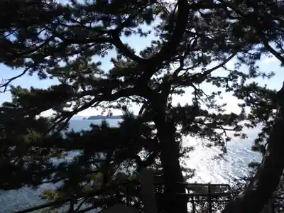 八大龍神社(愛知県)