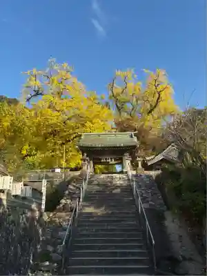 綾部八幡神社(佐賀県)