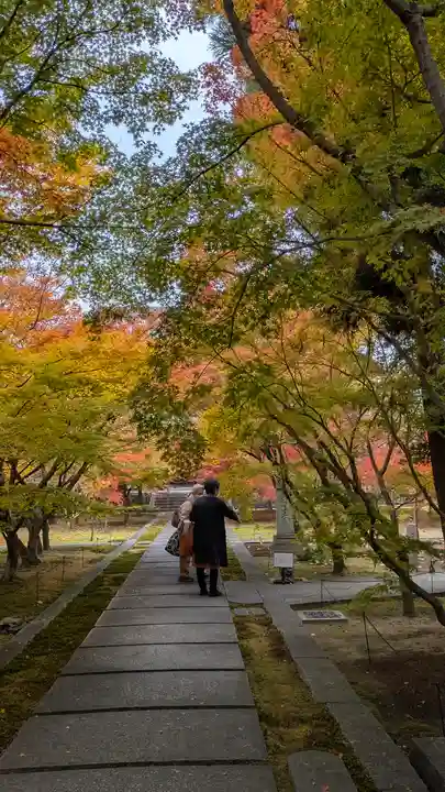 興聖寺(京都府)