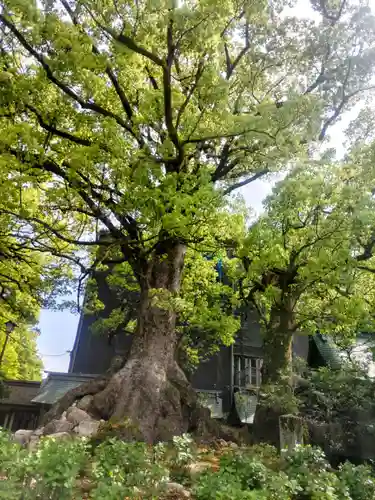 太宰府天満宮の自然