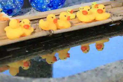 阿邪訶根神社の手水舎