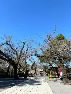三嶋大社(静岡県)