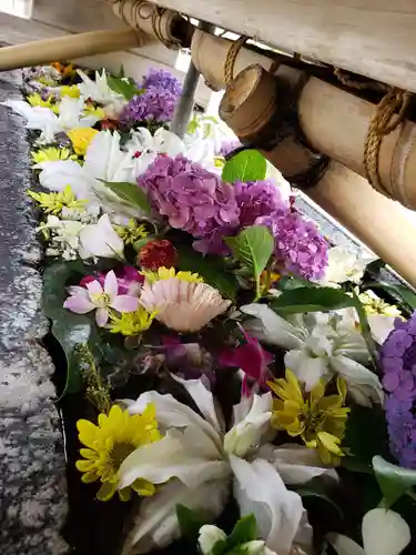 鳩森八幡神社の手水