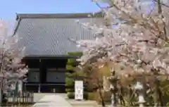 光明寺（粟生光明寺）の本殿