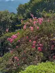 花山院菩提寺(兵庫県)