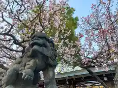 湯島天満宮の狛犬