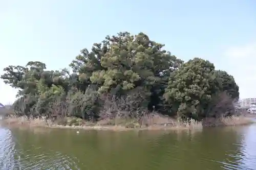 百舌鳥八幡宮(大阪府)