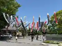 白旗神社の{uncategorized: "未分類", other: "その他", undefined: "問題あり", building: "その他建物", grave: "お墓", sacred_gate: "鳥居", guardian: "狛犬", statue: "像", buddha: "仏像", history: "歴史", nature: "自然", garden: "庭園", animal: "動物", pagoda: "塔", temizu: "手水舎", mountain_gate: "山門・神門", sanctuary: "本殿・本堂", subordinate: "末社・摂社", art: "芸術", scenery: "景色", jizo: "地蔵", ema: "絵馬", goshuin: "御朱印", omikuji: "おみくじ", items: "授与品その他", amulet: "お守り", goshuincho: "御朱印帳", eats: "食事", festival: "お祭り", votive_dance: "神楽", shichigosan: "七五三参", wedding: "結婚式", experience: "体験その他", initially: "初詣", around: "周辺", anti_infection: "感染症対策"}