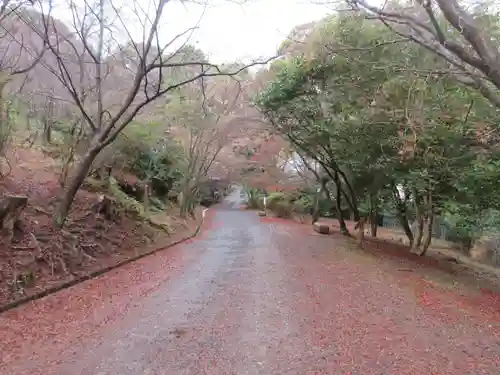 園城寺（三井寺）(滋賀県)