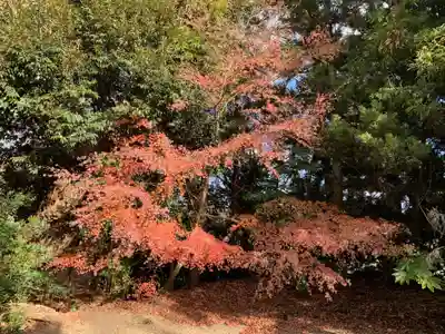 皇産靈神社(千葉県)