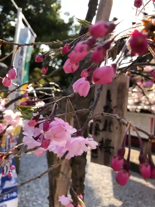 玉津島神社の自然
