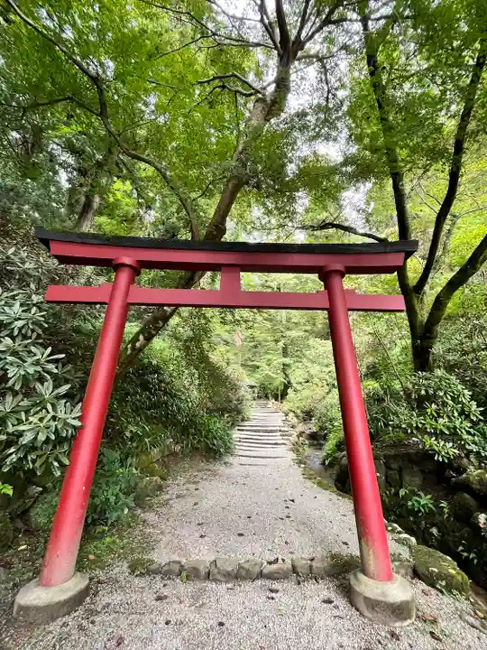 岡寺(龍蓋寺)(奈良県)