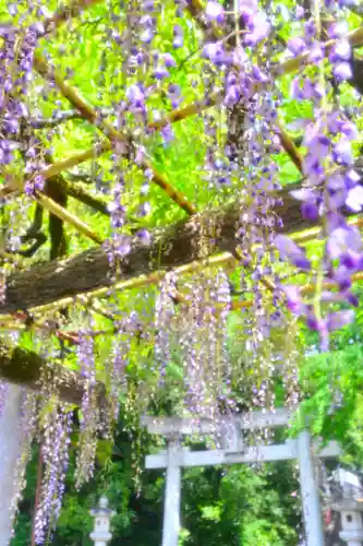 日吉神社(東京都)