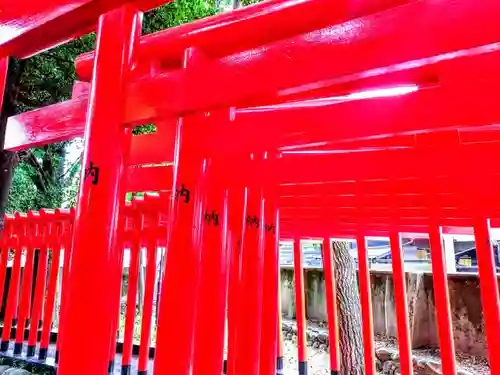 闇之森八幡社の鳥居