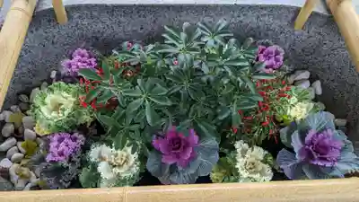 中嶋神社の手水舎